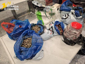 Malpensa: Sequestrati e distrutti 400kg di pesce cinese