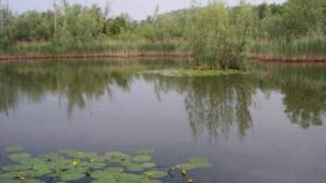 Cassano: Alla scoperta dell'Oasi Boza, patrimonio di tutti