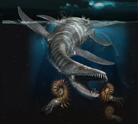 Pavia: Dinosauri Marini e animali giganti al Kosmos