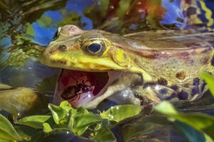 Varese: Serata con Eugenio Pigato al Fotoclub