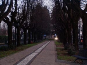 Cassano: Viale e Parco di città si accendono