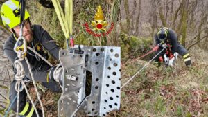 Brusimpiano: Cane nel dirupo, lo salvano i Vigili del Fuoco