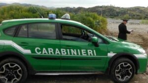 Varese: Un anno "forestale", sanzioni per oltre 1 mln€