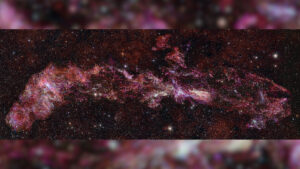 Como: Corpi di stelle, Insubria al lavoro con 70 atenei