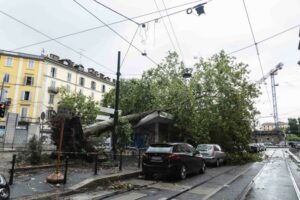 Varese: Allerta meteo, vento a 70kmh: "Occhio agli alberi"