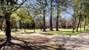 Gallarate: Vento forte, chiusi tutti i parchi cittadini