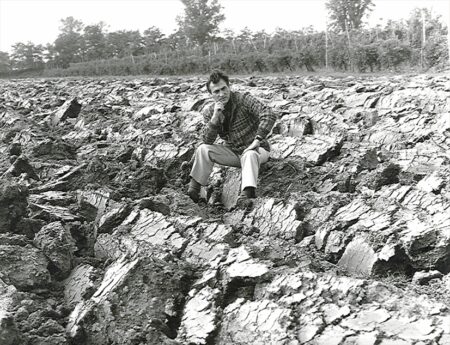 Milano: Il Museo Boschi Di Stefano omaggia Carlo Zauli