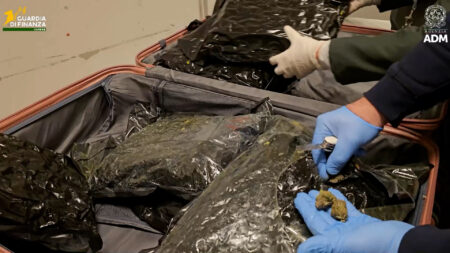 Malpensa: Dagli USA con 17 kg di marijuana, arrestata