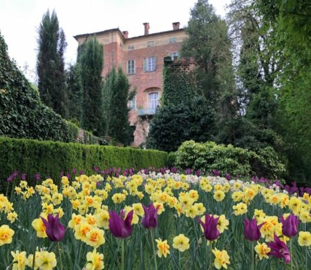 Pieia d'Asti: Arte contemporanea al Castello di Piea