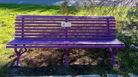 Cassano: Una panchina viola alla Magana contro l'epilessia