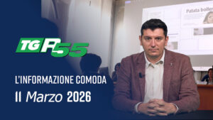 : Edizione del 11 Marzo 2026