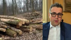 Gallarate: Tagli bosco Crenna, Cassani “Si del Parco"