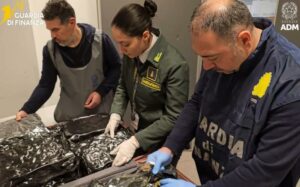 Malpensa: Dagli USA con 17 kg di marijuana, arrestata