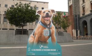 Varese: Calendario dei musi per un 2027 da cani