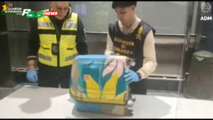 Malpensa: Corallo "estirpato", sequestro al T1