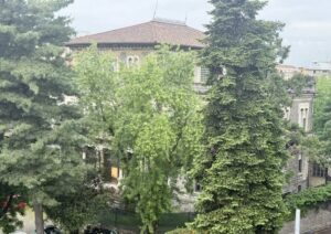 Busto: Un milione e centomila euro per Villa Tovaglieri