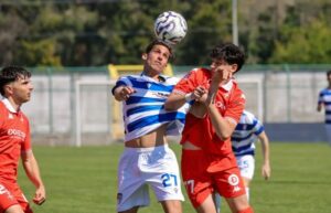Calcio: Nemmeno l'onore, Pro Patria-Triestina 1-1