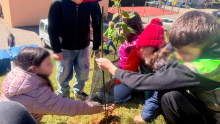 Angera: 100 nuovi alberi piantati dai ragazzi delle scuole