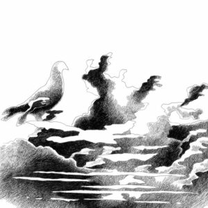 Milano: Alla Paula Seegy Gallery inaugura Mario Trimarchi