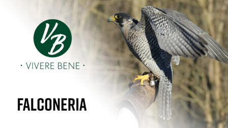 La falconeria - Vivere Bene