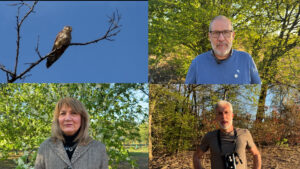 Busto: Ornitologo, “Pam, censite 100 specie di volatili”