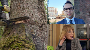 Varese: Giù 1385 alberi. “La Giunta ha l’accetta facile”