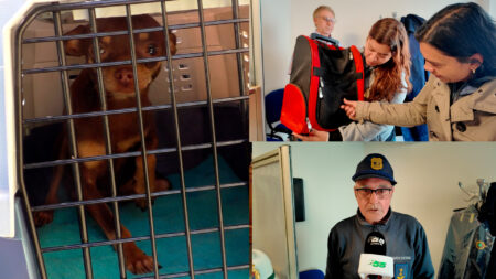 Brebbia: 64 cuccioli sequestrati, la nuova vita inizia oggi