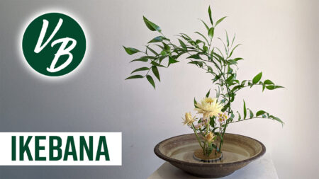 Ikebana - Vivere Bene