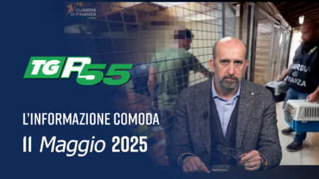 : Edizione del 11 Maggio 2026
