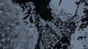 Milano: Le forme dell’acqua, mostra degli studenti IIF
