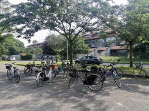 Busto: Torna “Curiosando in città” per grandi e piccini