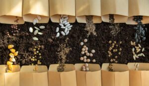 Busto: Scambio semi e talee nel giardino di Sala Monaco
