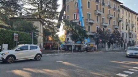 Varese: Abbattuti gli alberi di viale Aguggiari