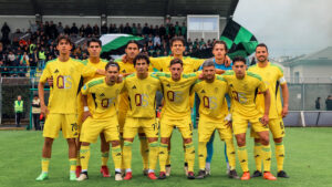 Calcio: La Castellanzese chiede il ripescaggio in Serie D