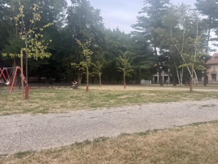 Busto: Parco del Museo del Tessile, tigli a rischio