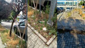 Varese: Via Tamagno malconcia. "L'aiuola? Una discarica"