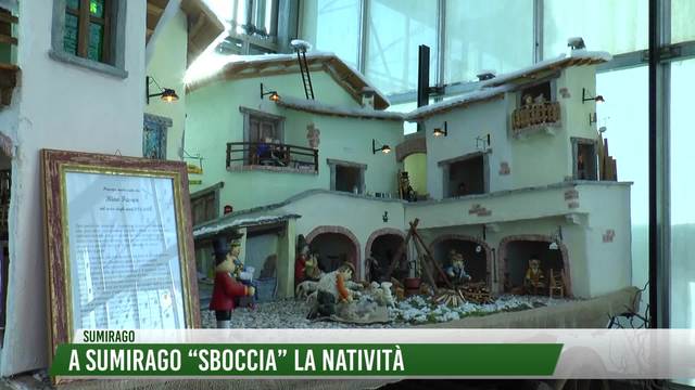 A Sumirago "sboccia"
la Natività