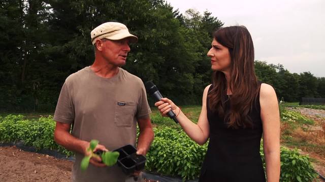 A tavola in Fondazione Minoprio con fiori e piante