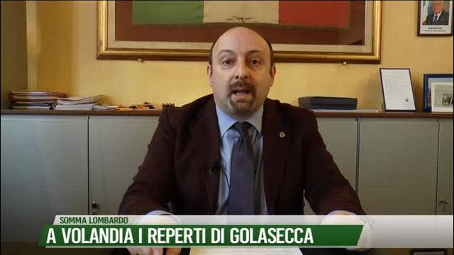 A Volandia i reperti di Golasecca
