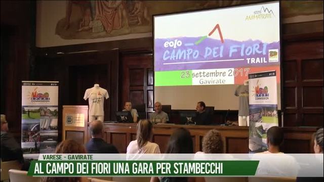 Al Campo dei Fiori una gara per stambecchi