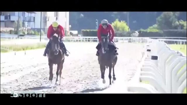 Al galoppo...con il Gonnelli Team