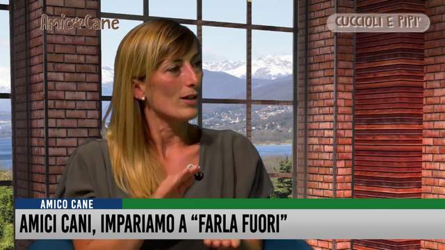 Amici cani, impariamo a "farla fuori"