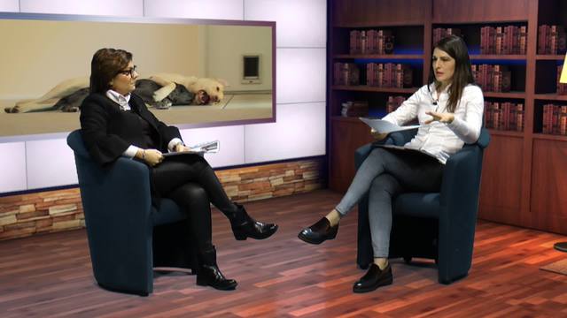 Anche la "sgambata" vuole le sue regole