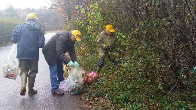 Boschi Tosi tra il degrado