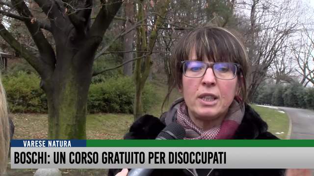 Boschi, un corso gratuito per disoccupati