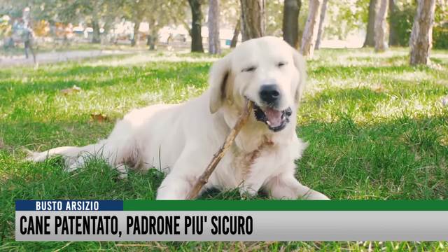 Cane Patentato,
padrone più sicuro