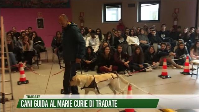 Cani guida al Marie Curie di Tradate