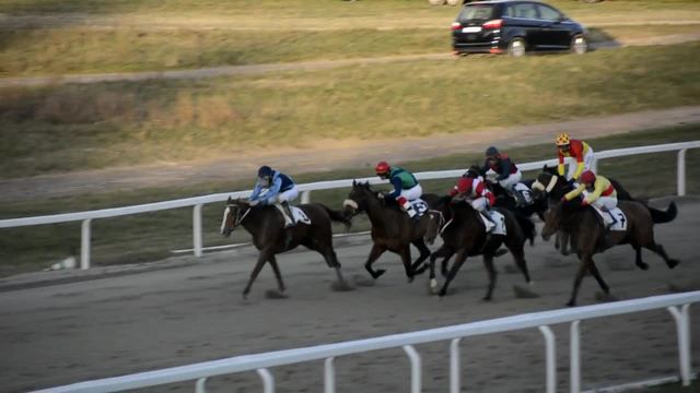 Cavalli...che passione!