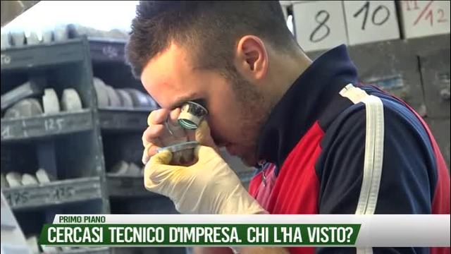 Cercasi tecnico specializzato. Chi l'ha visto?