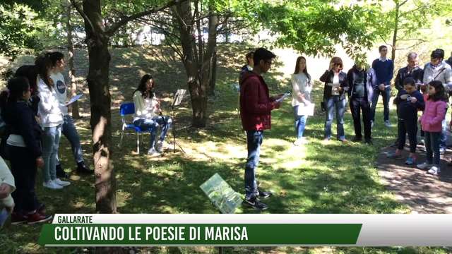 Coltivando le poesie di Marisa